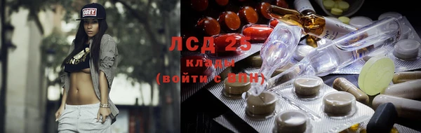 спайс Бородино