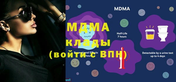 ПСИЛОЦИБИНОВЫЕ ГРИБЫ Богданович