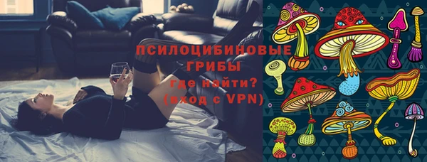 ПСИЛОЦИБИНОВЫЕ ГРИБЫ Богданович