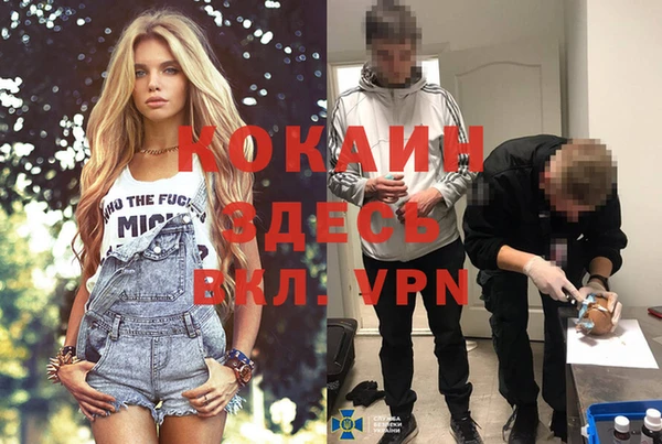 ПСИЛОЦИБИНОВЫЕ ГРИБЫ Богданович