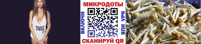 Псилоцибиновые грибы ЛСД  Прокопьевск 